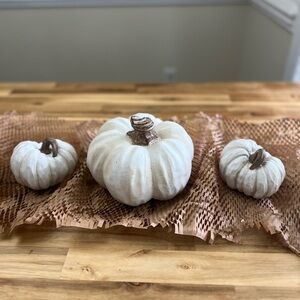 NEW 3 set of Beautiful white texture pumpkin bundle / thanksgiving